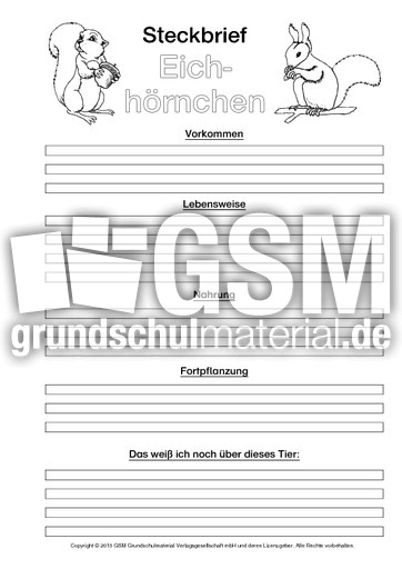 Eichhörnchen-Steckbriefvorlage-sw-1.pdf